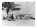 Historic Print (S): Sailboats and fishing boats at landing, Palm Beach, Florida