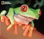 National Geographic Tree Frog Mouse Mat