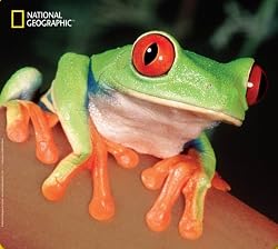 National Geographic Tree Frog Mouse Mat