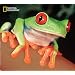 National Geographic Tree Frog Mouse Mat