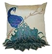 Thro by Marlo Lorenz 4182 Fancy Peacock 16 by 16-Inch Pillow, Multi