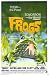 Frogs, Art Poster by Unknown Artist, size 11