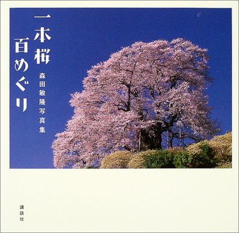 一本桜百めぐり　森田敏隆写真集