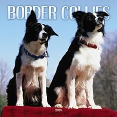 Border Collies Wall Calendar 2005