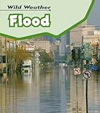 Flood