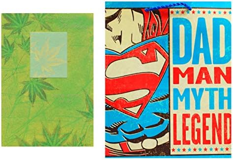 Hallmark Fathers Day Card "For a Special Father" &amp; Gift Bag