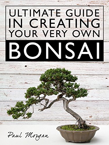 Ultimate Guide In Creating Your Very Own Bonsai