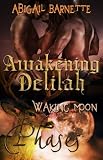 Awakening Delilah (Phases)