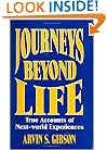 Journeys Beyond Life: True Accounts of Next World Experiences