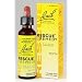 Rescue Remedy Value Pack