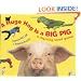 A Huge Hog Is a Big Pig: A Rhyming Word Game