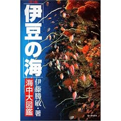 �ɓ��̊C�E�C����}��