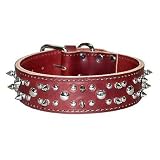 1.75 in. Spiked &nbsp Studded Latigo Protector Dog Collar model 6022 (Black, 20 in.)