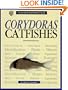 Corydoras Catfish (Complete Authoritative Guide)
