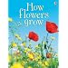 How Flowers Grow (Usborne Beginners)