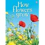 How Flowers Grow (Usborne Beginners)
