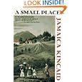 A Small Place by Jamaica Kincaid