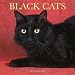 Black Cats 2007 Calendar