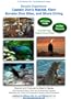 Bonaire Experience: Captain Don's Habitat, Klein Bonaire Dive Sites, and Shore Diving