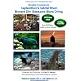 Bonaire Experience: Captain Don's Habitat, Klein Bonaire Dive Sites, and Shore Diving