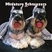 Miniature Schnauzers 2007 Calendar