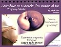 Countdown to a Miracle: The Making of Me (3rd edition)