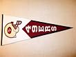 San Francisco 49ers - NFL Football Classic (Pennants)