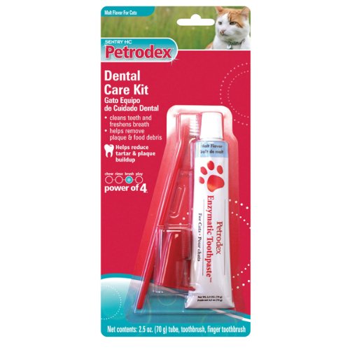 dental for cats:Petrodex Cat Dental Care Kit, Malt Toothpaste, 2 Toothbrushes