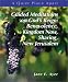 Guided Meditations on God's Justice and Reign: Benevolence, Kingdom Now, Sharing New Jerusalem (Ayer, Jane E. Quiet Place Apart.)