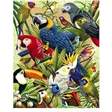 Visual Echo 3D Effect Avian World 3D Lenticular Puzzle 500pc S4