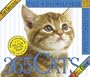The Original 365 Cats Page-A-Day Calendar 2007 (Large Page-A-Day)