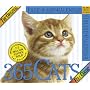 The Original 365 Cats Page-A-Day Calendar 2007 (Large Page-A-Day)