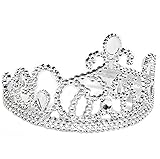 5 Piece Sparkle Fairy Princess Costume Set PLUS GIFT BAG (Hot Pink)