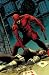 Daredevil: Shadowland
