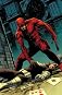 Daredevil: Shadowland