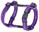 Rogz Fancy Dress Jellybean Dog H-Harness, Small 3/8″, Purple Chrome
