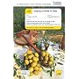 Teach Yourself Buying a Home in Italy Book/CD Pack (Teach Yourself Buying a Home)