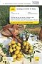 Teach Yourself Buying a Home in Italy Book/CD Pack (Teach Yourself Buying a Home)