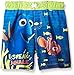 Disney Boys' Finding Dory Swim Trunk