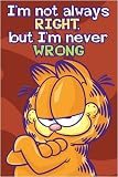  : GARFIELD POSTER OF THE CAT WRONG BY JIM DAVIS NEW 24232
