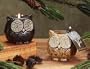 Pack of 6 Assorted Ceramic Owl Evergreen Scented Candles