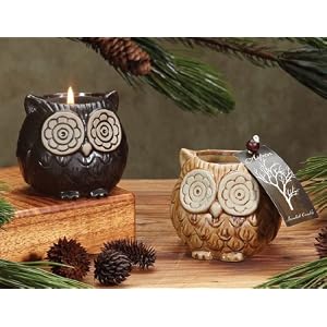 Pack of 6 Assorted Ceramic Owl Evergreen Scented Candles