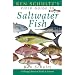 Great field guides