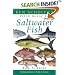 Ken Schultz's Field Guide to Saltwater Fish