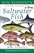 Ken Schultz's Field Guide to Saltwater Fish
