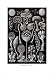 Colonial Jellyfish, Tablet 93, c.1899-1904 World Culture Art Poster Print by Ernst Haeckel, 20x28