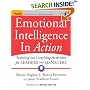 Emotional Intelligence In Action: Tools and Techniques for Individuals and Groups