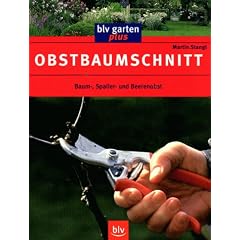 Obstbaumschnitt: Baum-, Spalier- und Beerenobst
