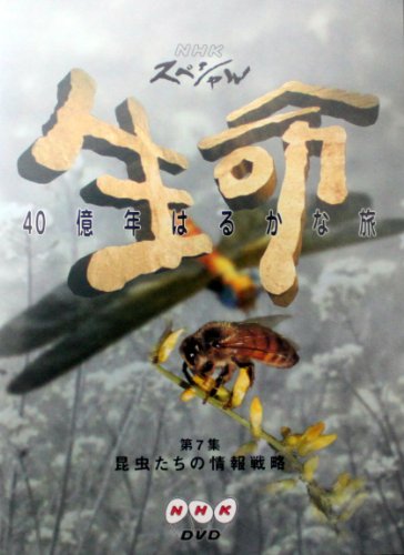 NHKスペシャル 生命40億年はるかな旅 第7集:昆虫たちの情報戦略 大島ミチル 毛利衛 石沢典夫 上田早苗