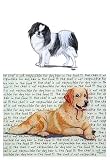Japanese Chin Glass Cutting Board